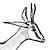 antylopa szpringbok